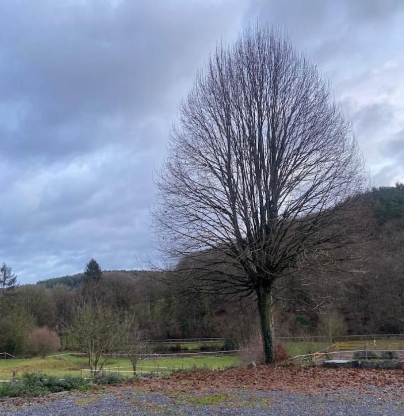 Le Ranch Des Aguesses Andenne Exterior foto