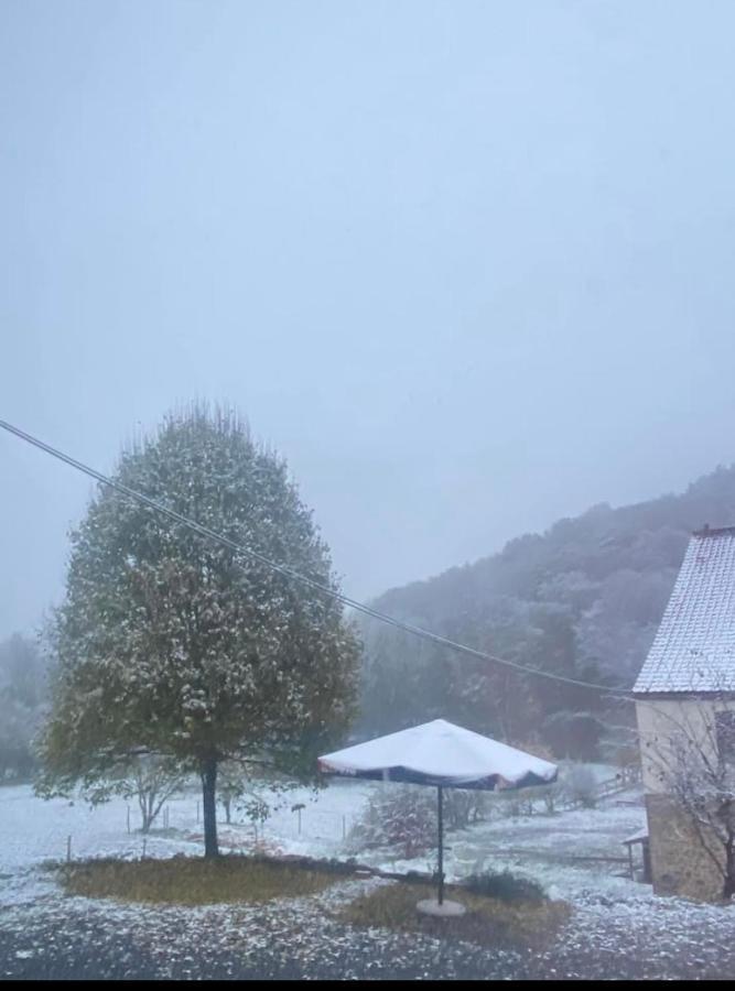 Le Ranch Des Aguesses Andenne Exterior foto