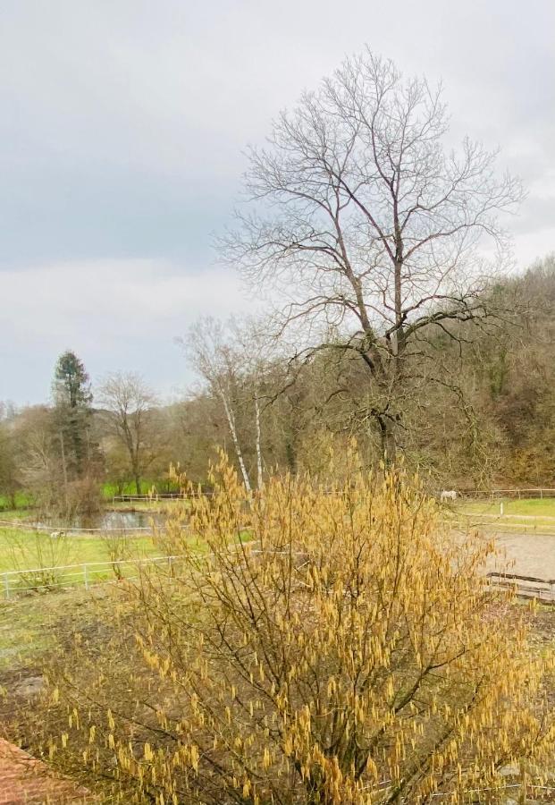 Le Ranch Des Aguesses Andenne Exterior foto