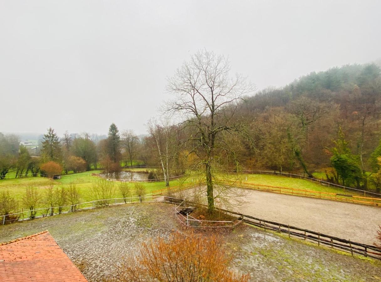 Le Ranch Des Aguesses Andenne Exterior foto