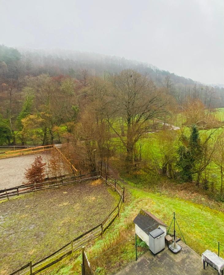 Le Ranch Des Aguesses Andenne Exterior foto