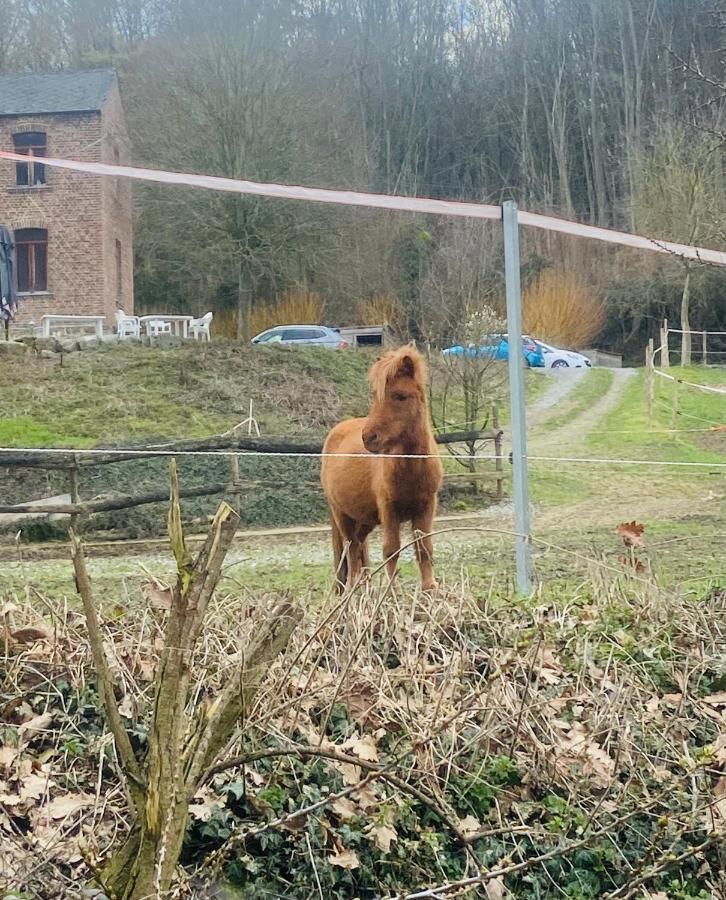 Le Ranch Des Aguesses Andenne Exterior foto